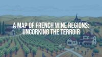 Detailed map of French wine regions, vineyards, rolling hills, rustic charm, warm earthy tones, illustrative style.